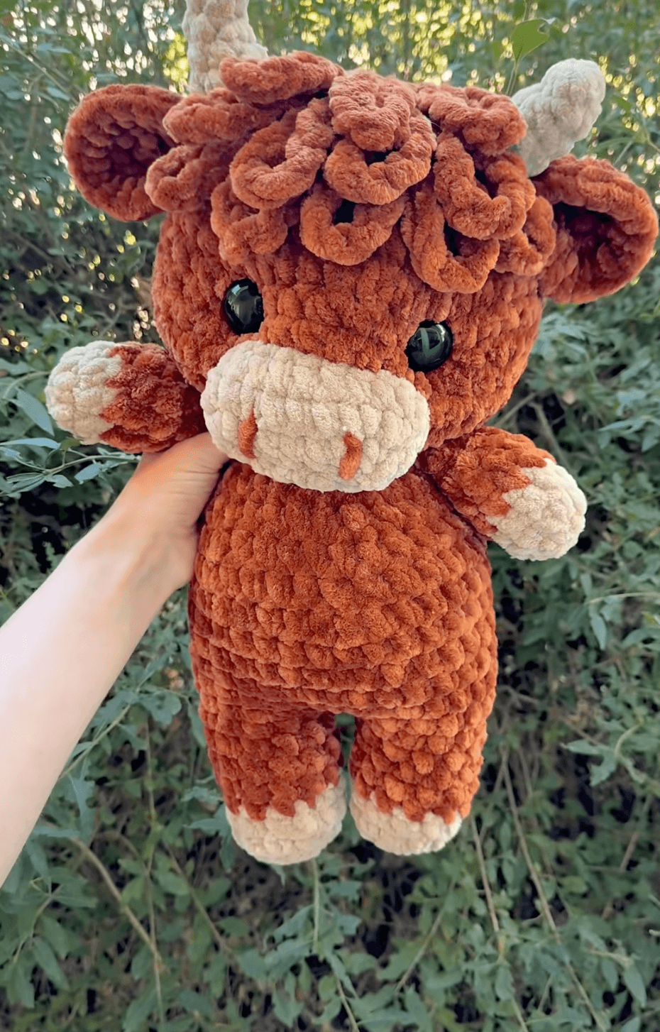 Pourquoi j’ai craqué pour la vache Highland (et ses boucles fofolles !)